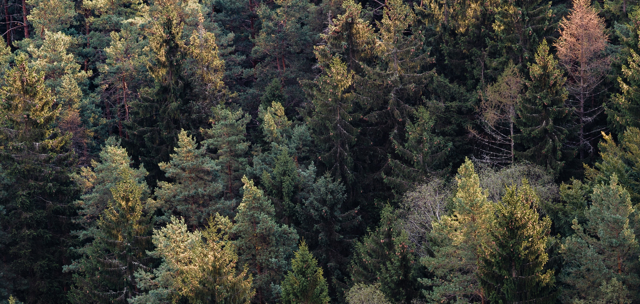 Durability by design image.jpg